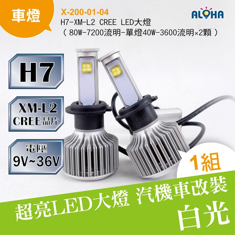H7-XM-L2 CREE LED大燈